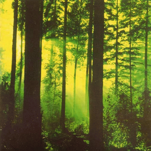  : Forests of Witchery